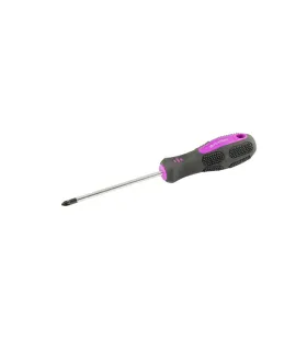 Šroubovák Pozidriv magnetický MASTERTOOL PZ1*100 mm 48-5710