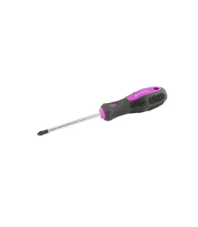 Šroubovák magnetický MASTERTOOL Pozidriv PZ2*100 mm 48-5910