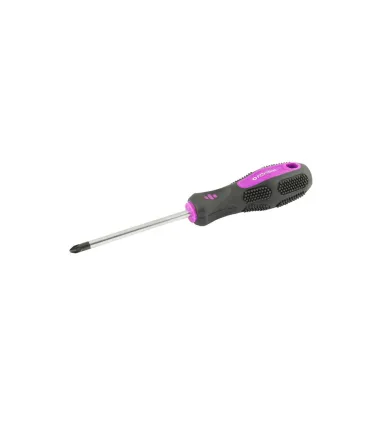 Šroubovák magnetický MASTERTOOL Pozidriv PZ2*100 mm 48-5910