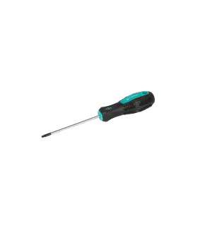 Šroubovák magnetický MASTERTOOL TORX TT 15*100 mm 49-0151