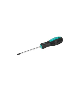 Šroubovák magnetický MASTERTOOL TORX TT 20*100 mm 49-0201