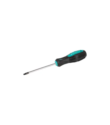 Šroubovák magnetický MASTERTOOL TORX TT 20*100 mm 49-0201