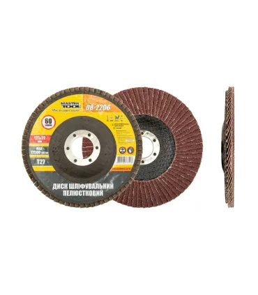 Kotouč brusný lamelový MASTERTOOL Т27 P60 125*22 mm 08-2206