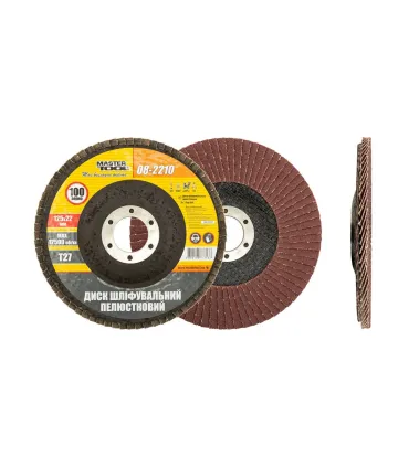 Kotouč brusný lamelový MASTERTOOL Т27 P100 125*22 mm 08-2210