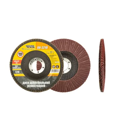Kotouč brusný lamelový MASTERTOOL Т29 P100 125*22 mm 08-3210