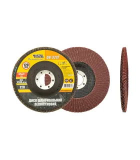 Kotouč brusný lamelový MASTERTOOL Т29 P120 125*22 mm 08-3212